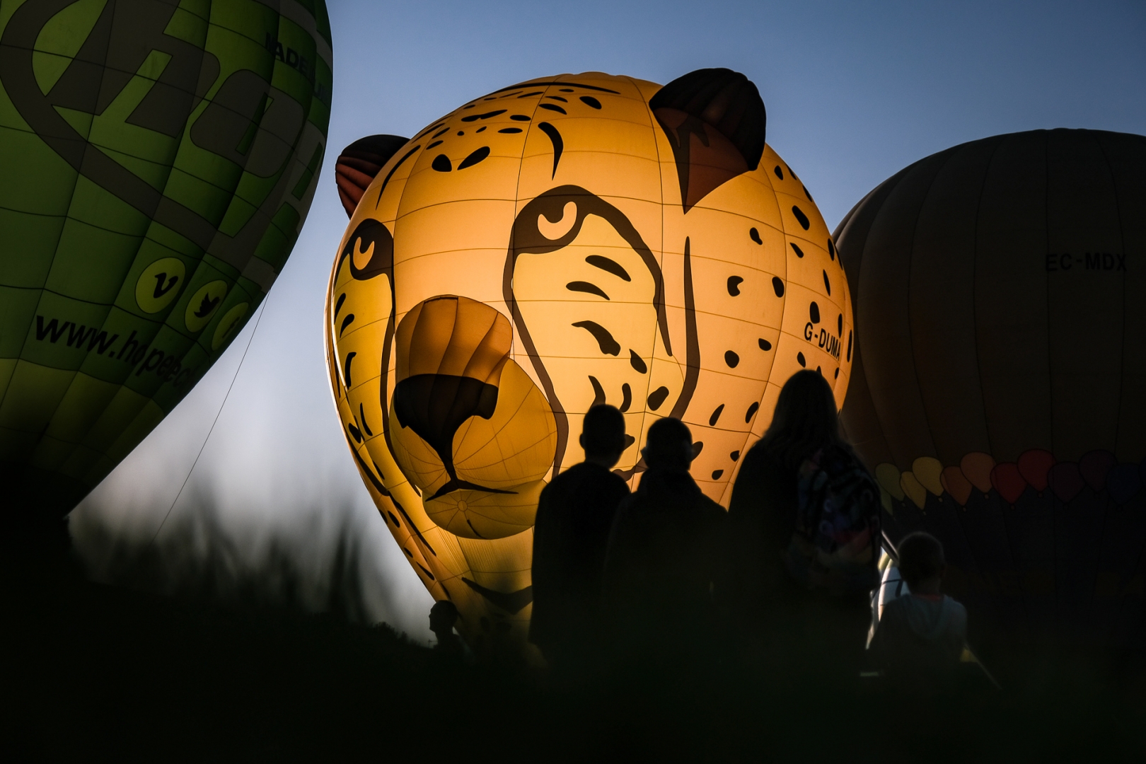 Cheeta balloon