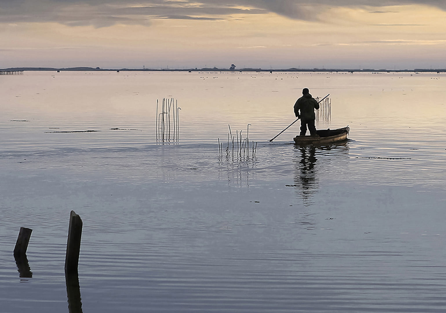 " Delte del Ebre "