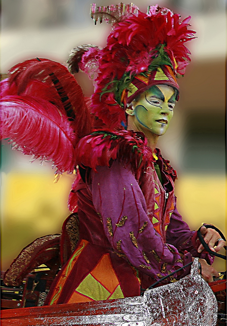 "  PLUMES i COLORS "