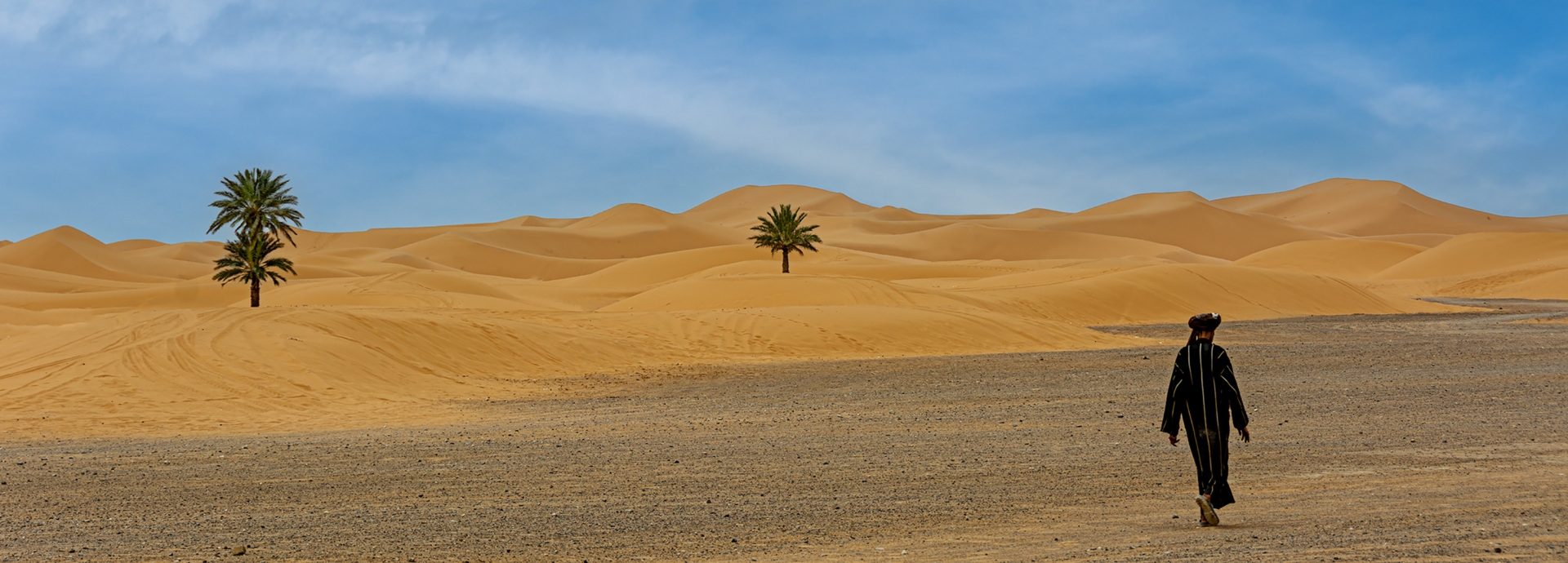 Caminant pel Desert