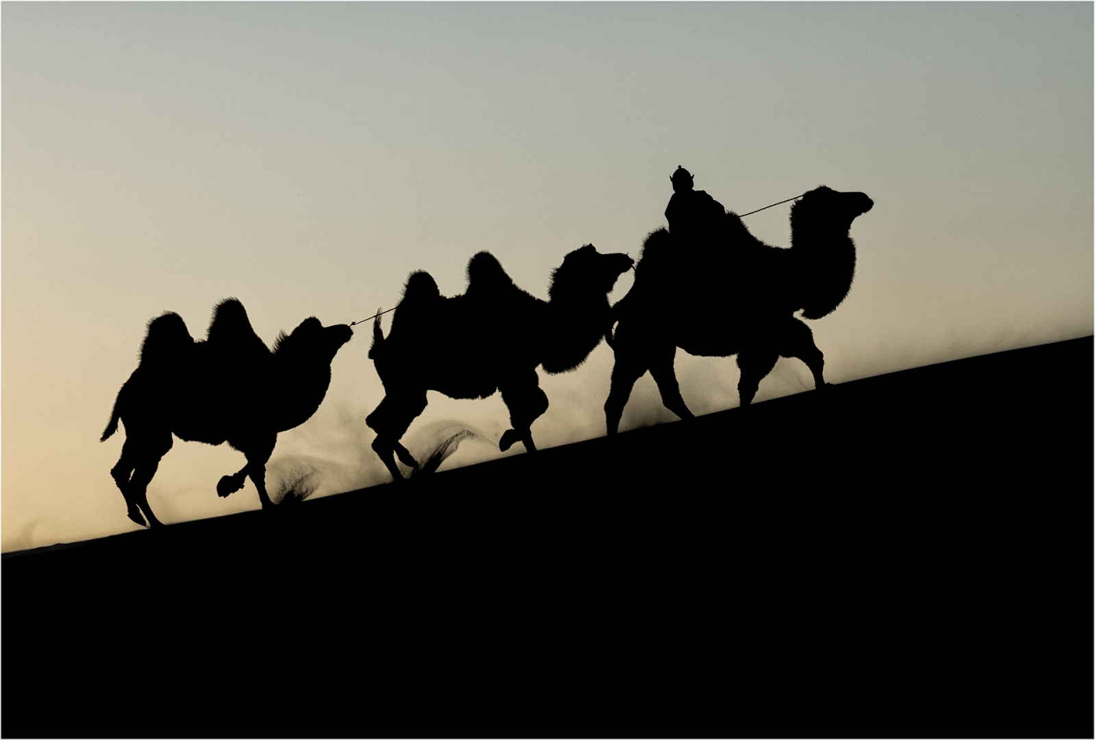 Caravana el d'esser del Gobi