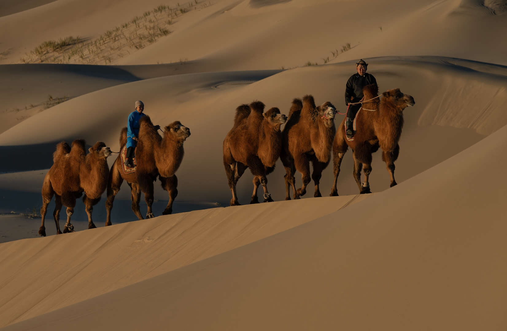 Deser del Gobi