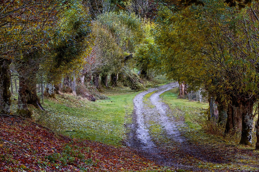 Autumn colors