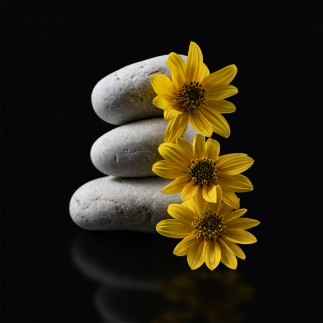 flors i pedres