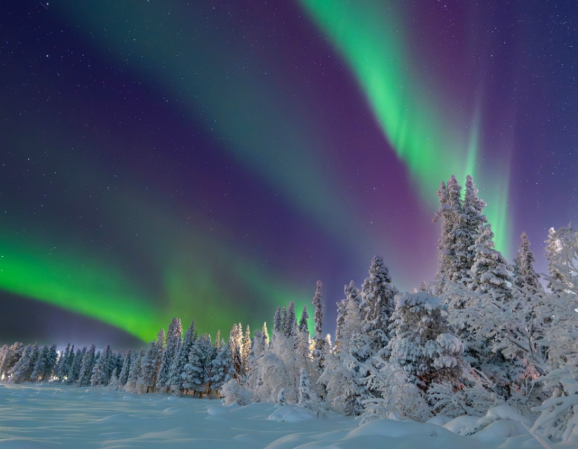 Aurora sobre la Taiga Àrtica