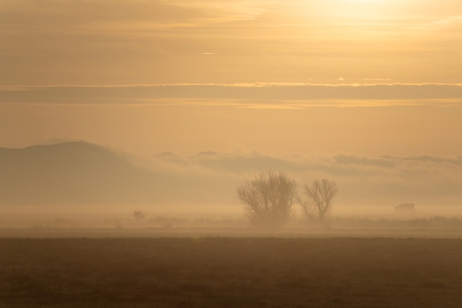Amanece en Gallocanta