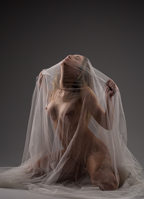 transparencia