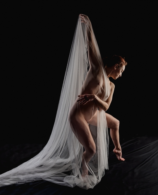 Figura 5