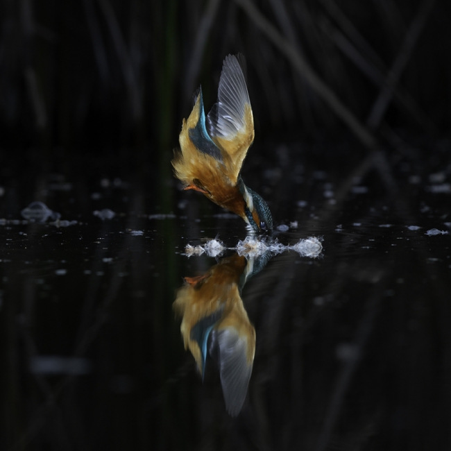 El reflex de l'entrada