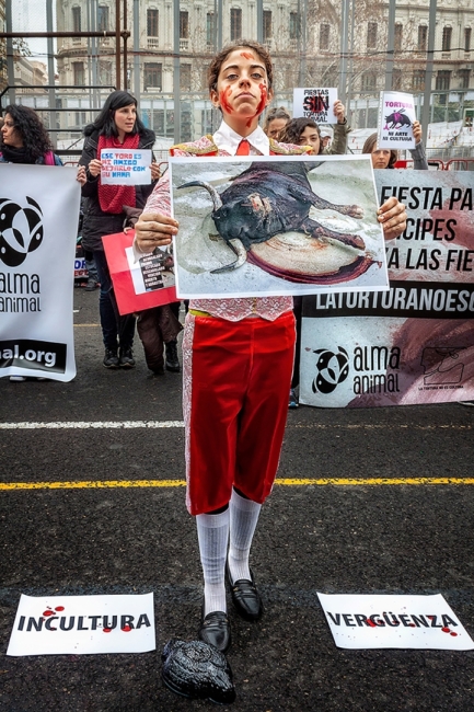 Alma animal