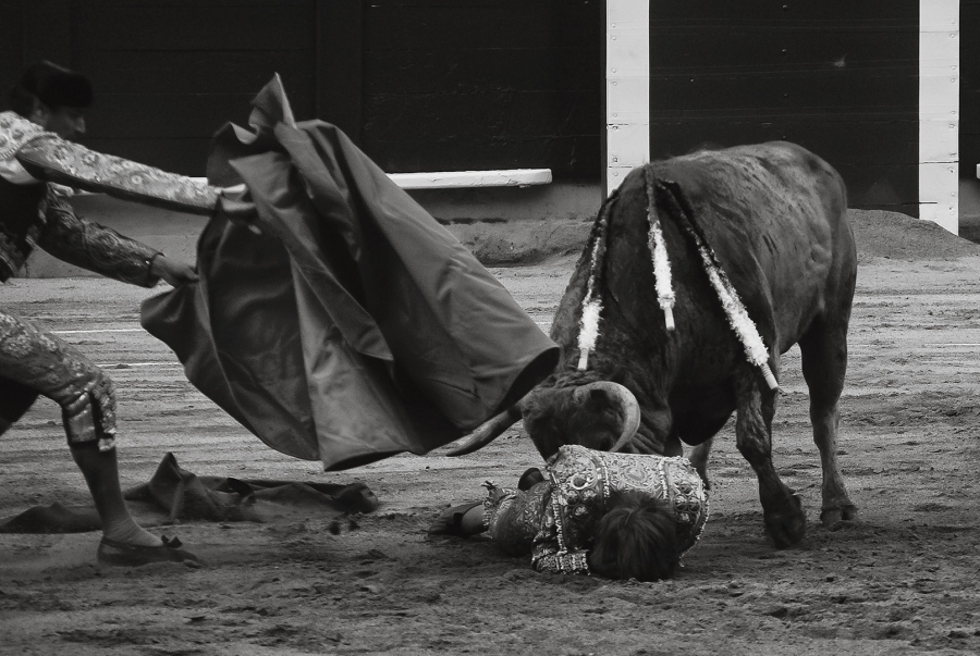 arena y sangre