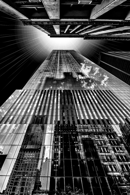 BUSCANDO LA LUZ