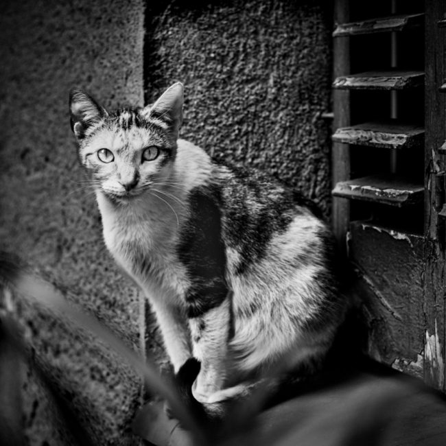 Mirada urbana