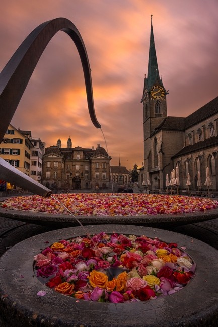 La plaça de roses i campanars
