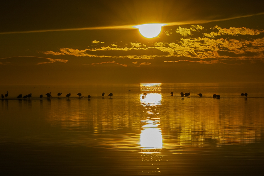 Atardecer en el delta