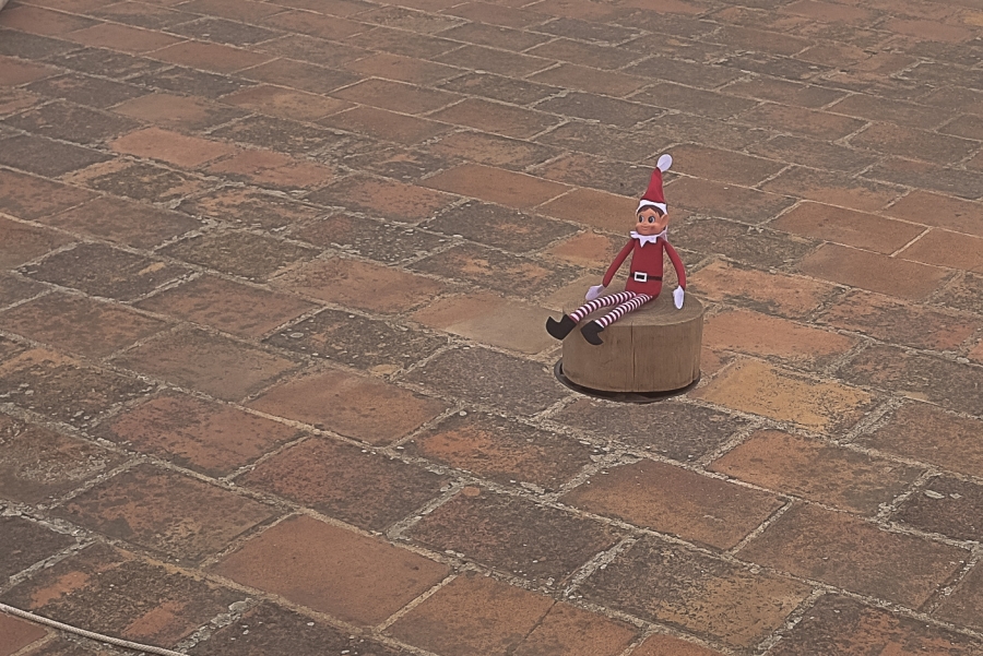 PINOCHO