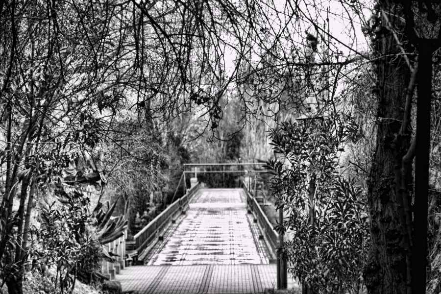 PUENTE DE HIERRO