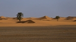 Dunes Saharianes