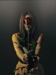Una Rosa Anònima