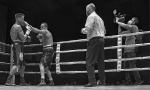 Boxeo