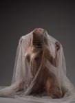 transparencia
