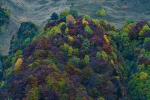 La tardor a Circ de Colomers