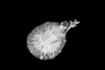 Ballet pose 8