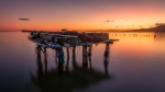 Entre redes y atardeceres