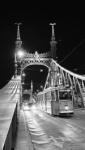 Budapest nit