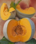 Carbassa