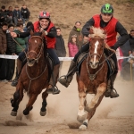 cursa de cavalls