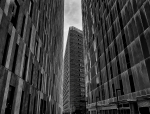 Entre gigants