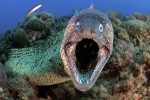 Holaaaa !!!