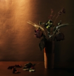 Flors