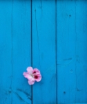 FONDO AZUL