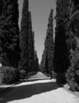 Camins…