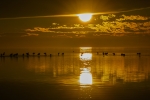 Atardecer en el delta