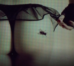 La mosca
