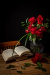 Lectura amb roses