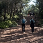 Camí del Puig de la Creu