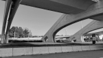 PONT
