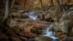 Riera Montseny